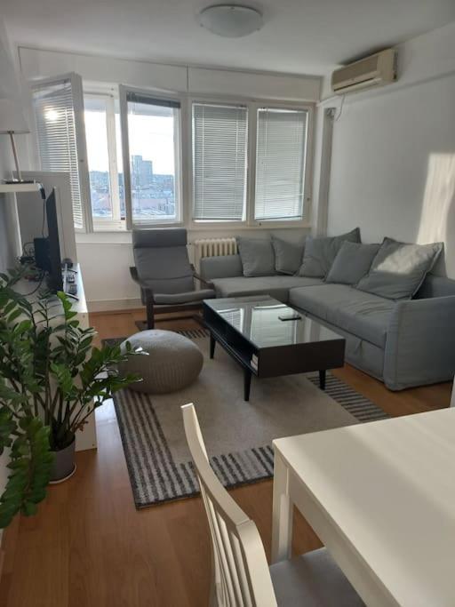 Cvijiceva Daire Belgrad Dış mekan fotoğraf