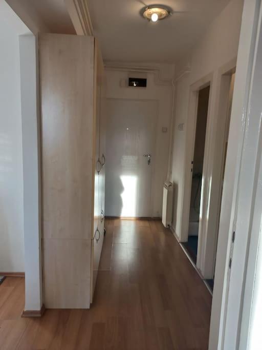 Cvijiceva Daire Belgrad Dış mekan fotoğraf